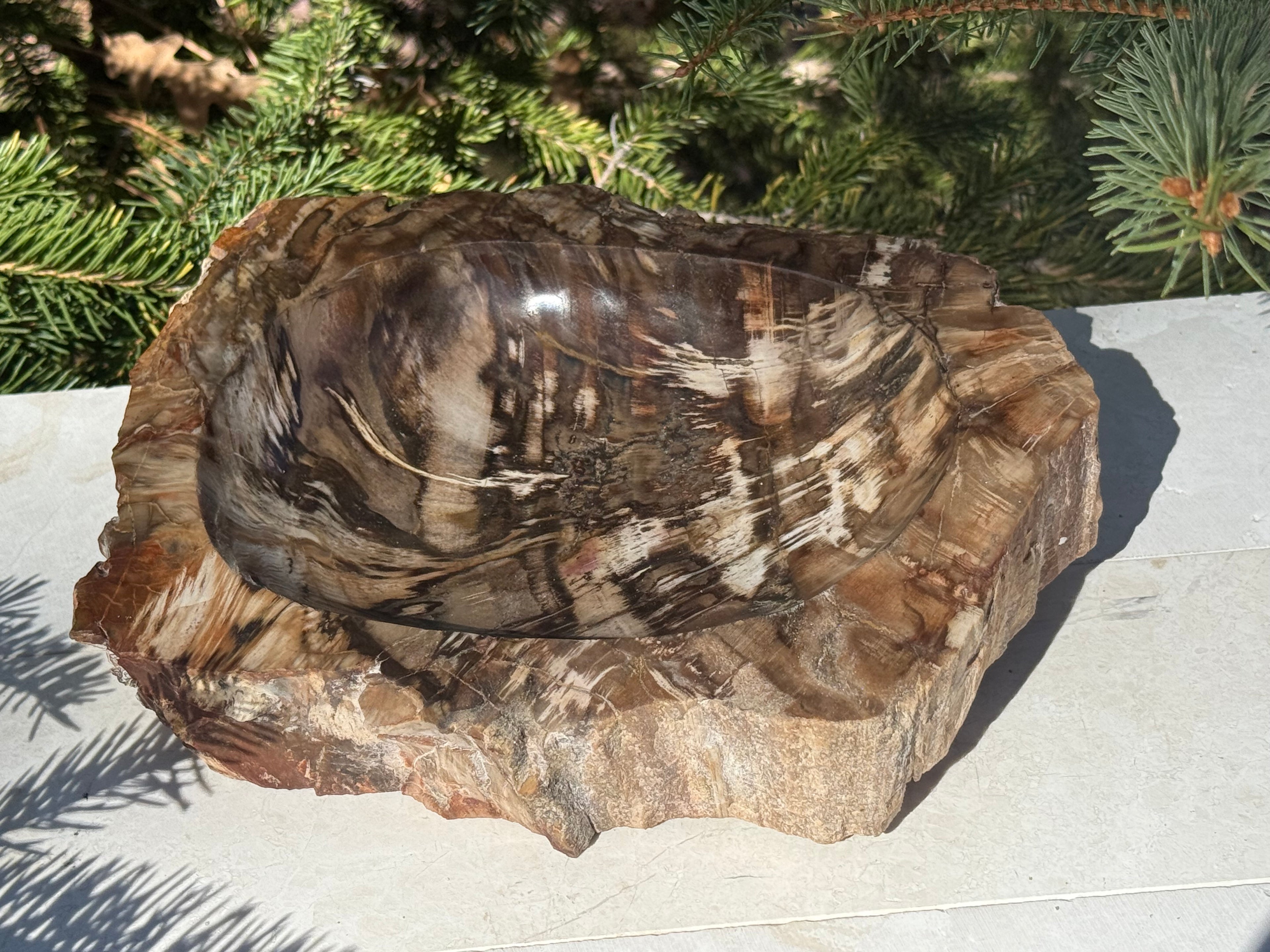 Boldly Striated Petrified Wood Bowl