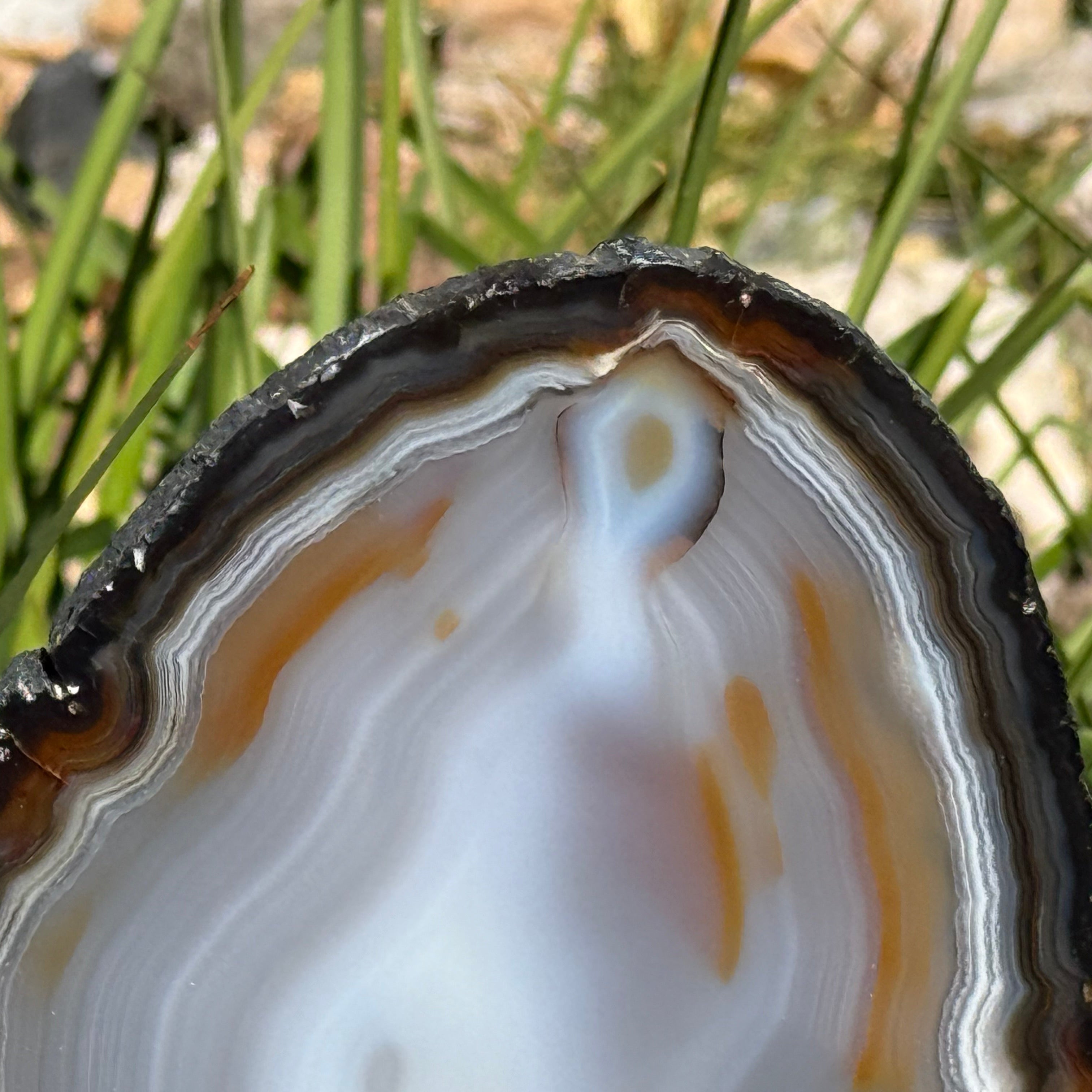 Beautifully Patterned and Banded Brazilian Agate Slice