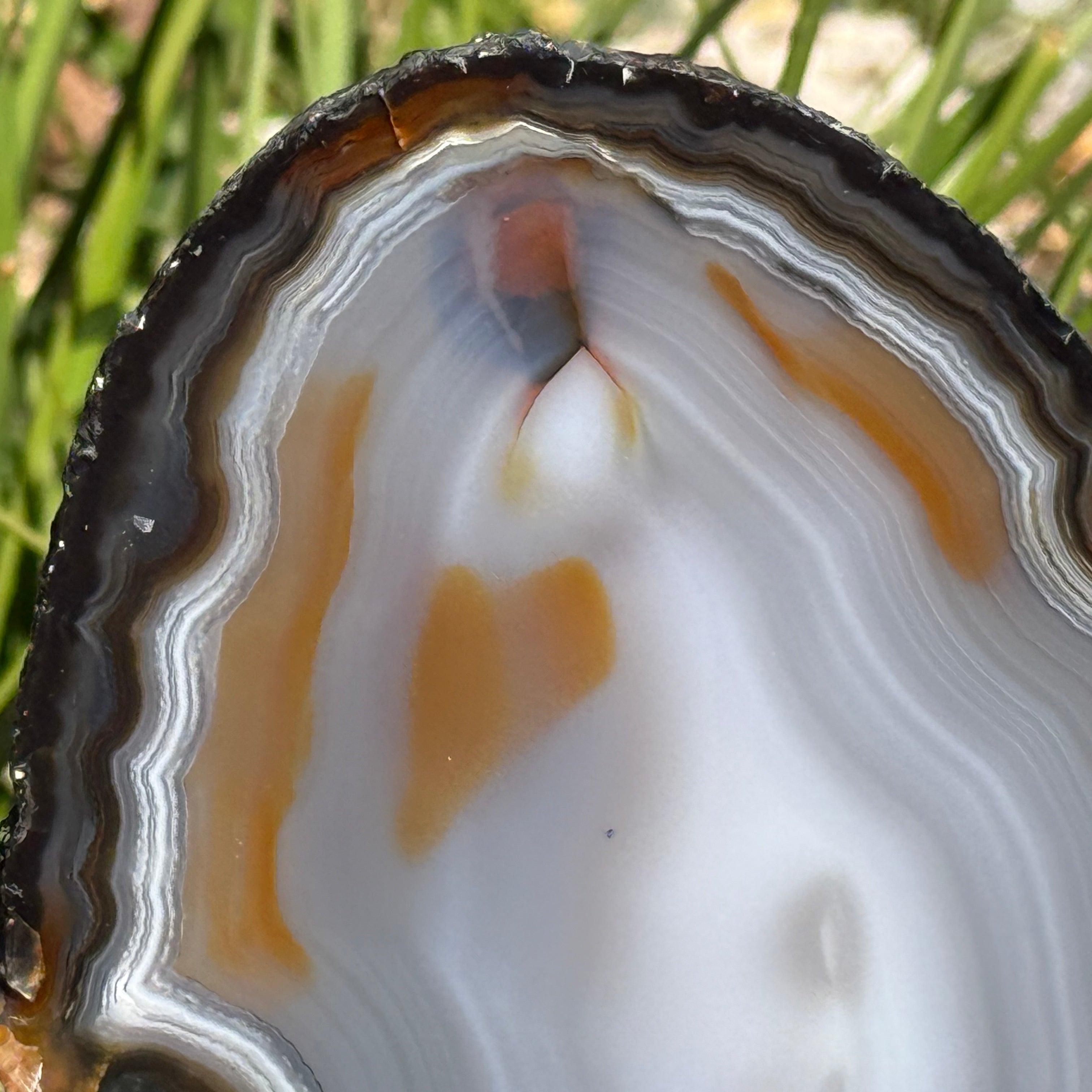 Beautifully Patterned and Banded Brazilian Agate Slice