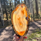 Beautifully Patterned and Banded Brazilian Agate Slice