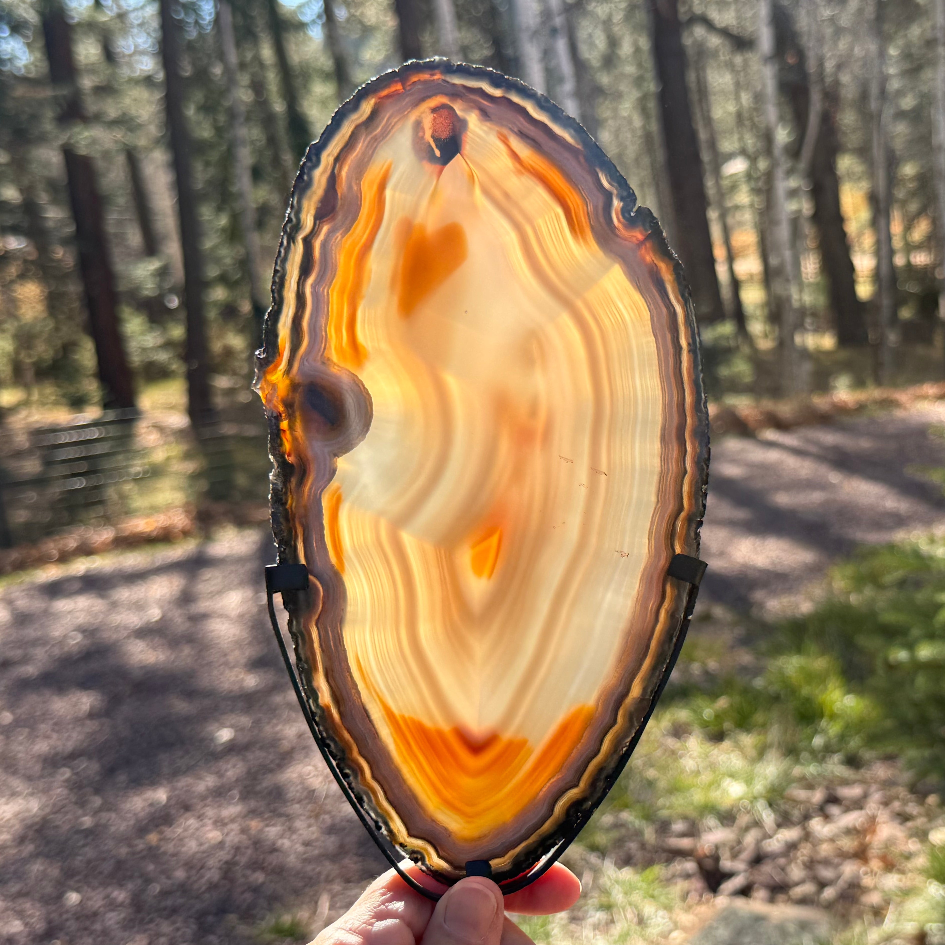 Beautifully Patterned and Banded Brazilian Agate Slice