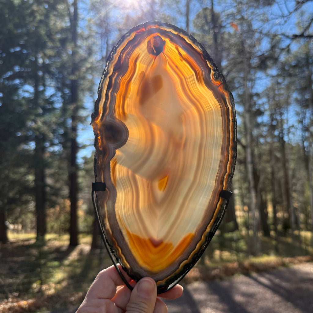 Beautifully Patterned and Banded Brazilian Agate Slice