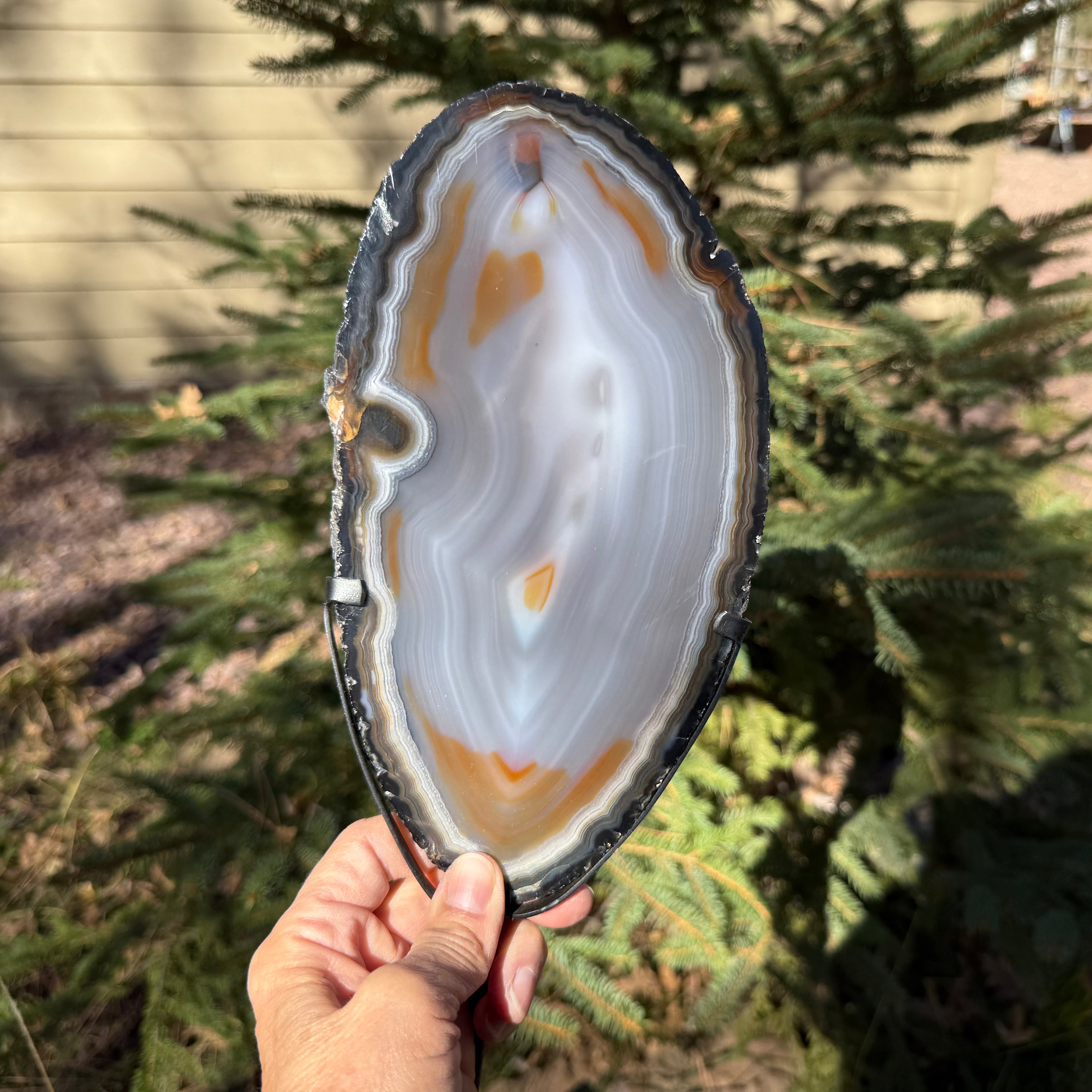 Beautifully Patterned and Banded Brazilian Agate Slice