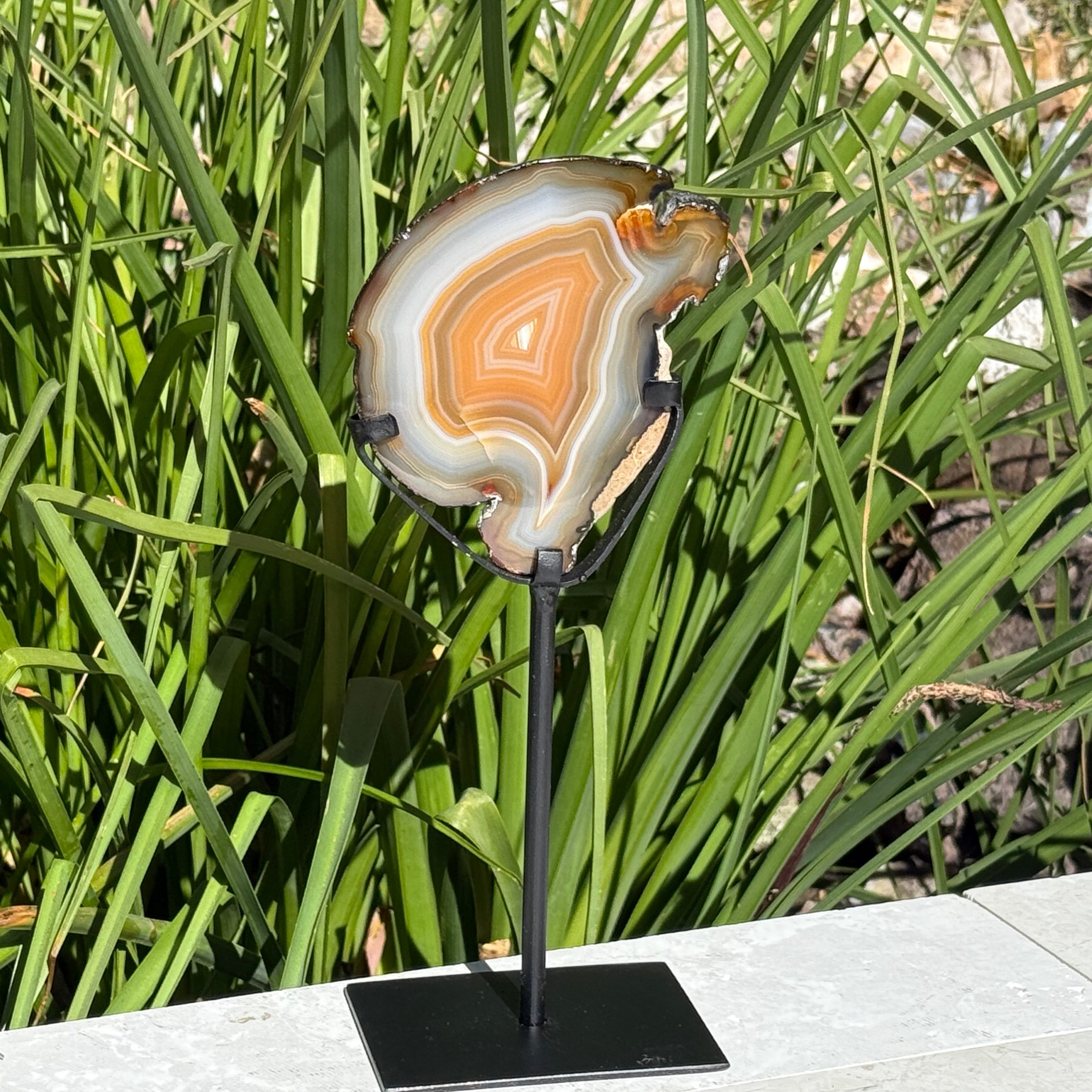 Fiery Concentric Banded Agate Slice on Pedestal Stand