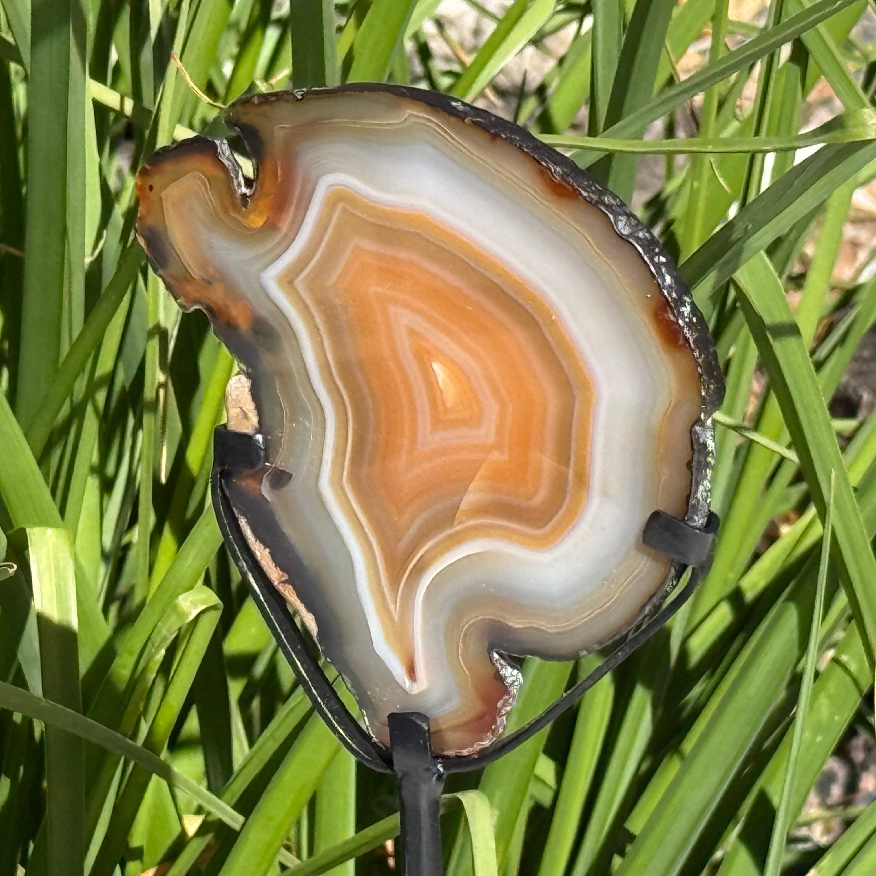 Fiery Concentric Banded Agate Slice on Pedestal Stand
