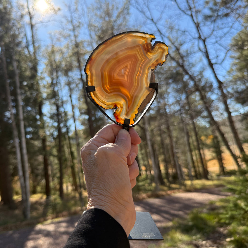 Fiery Concentric Banded Agate Slice on Pedestal Stand