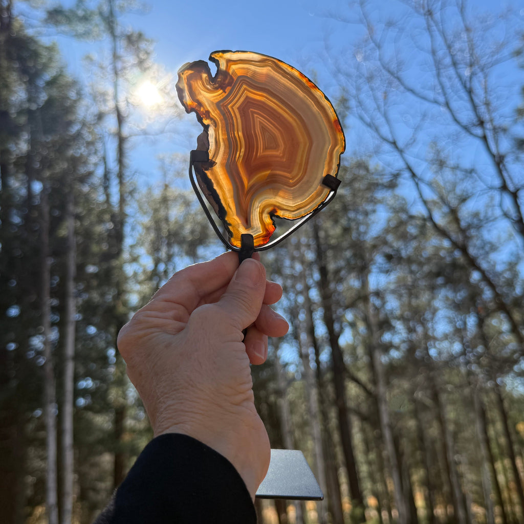 Fiery Concentric Banded Agate Slice on Pedestal Stand