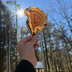 Fiery Concentric Banded Agate Slice on Pedestal Stand