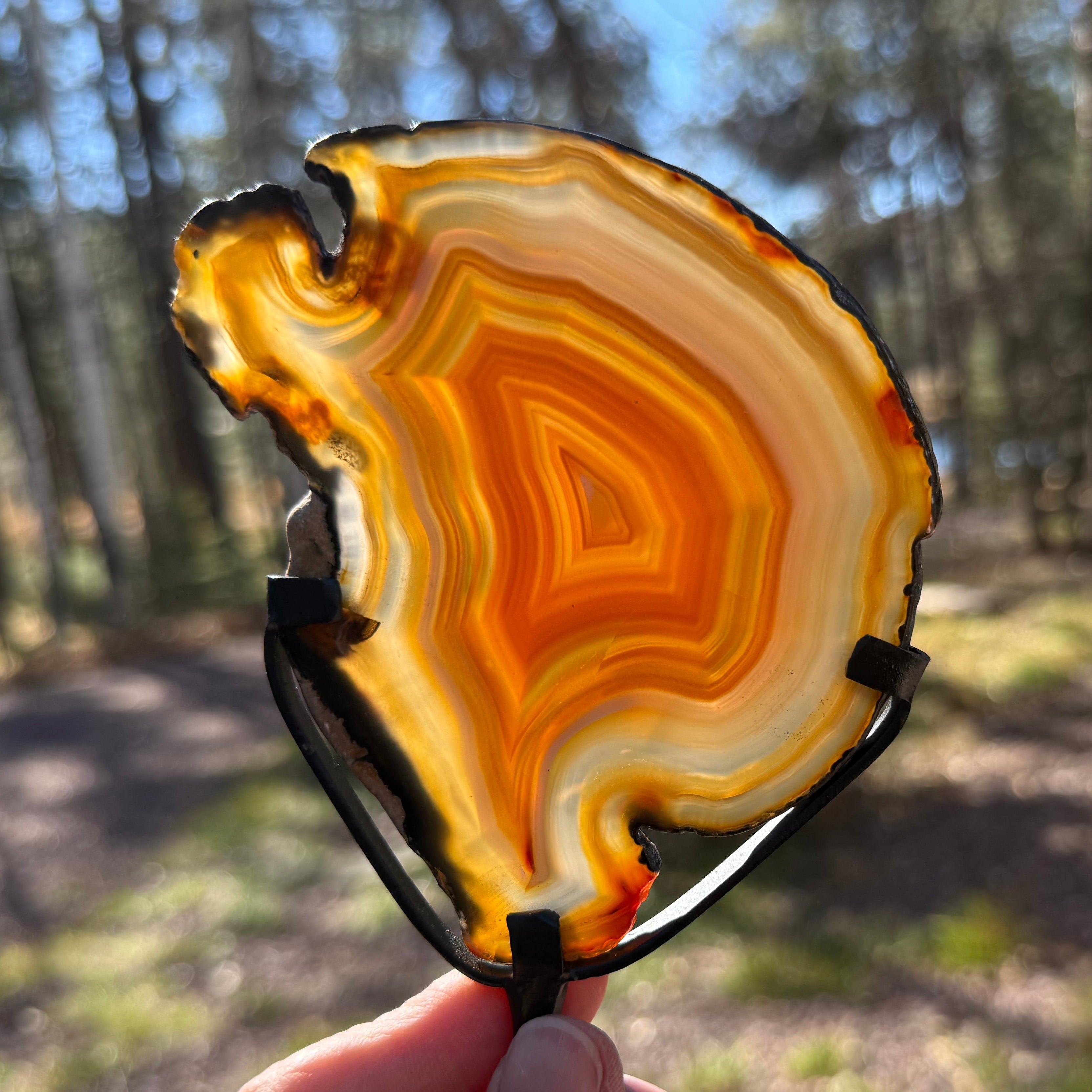 Fiery Concentric Banded Agate Slice on Pedestal Stand