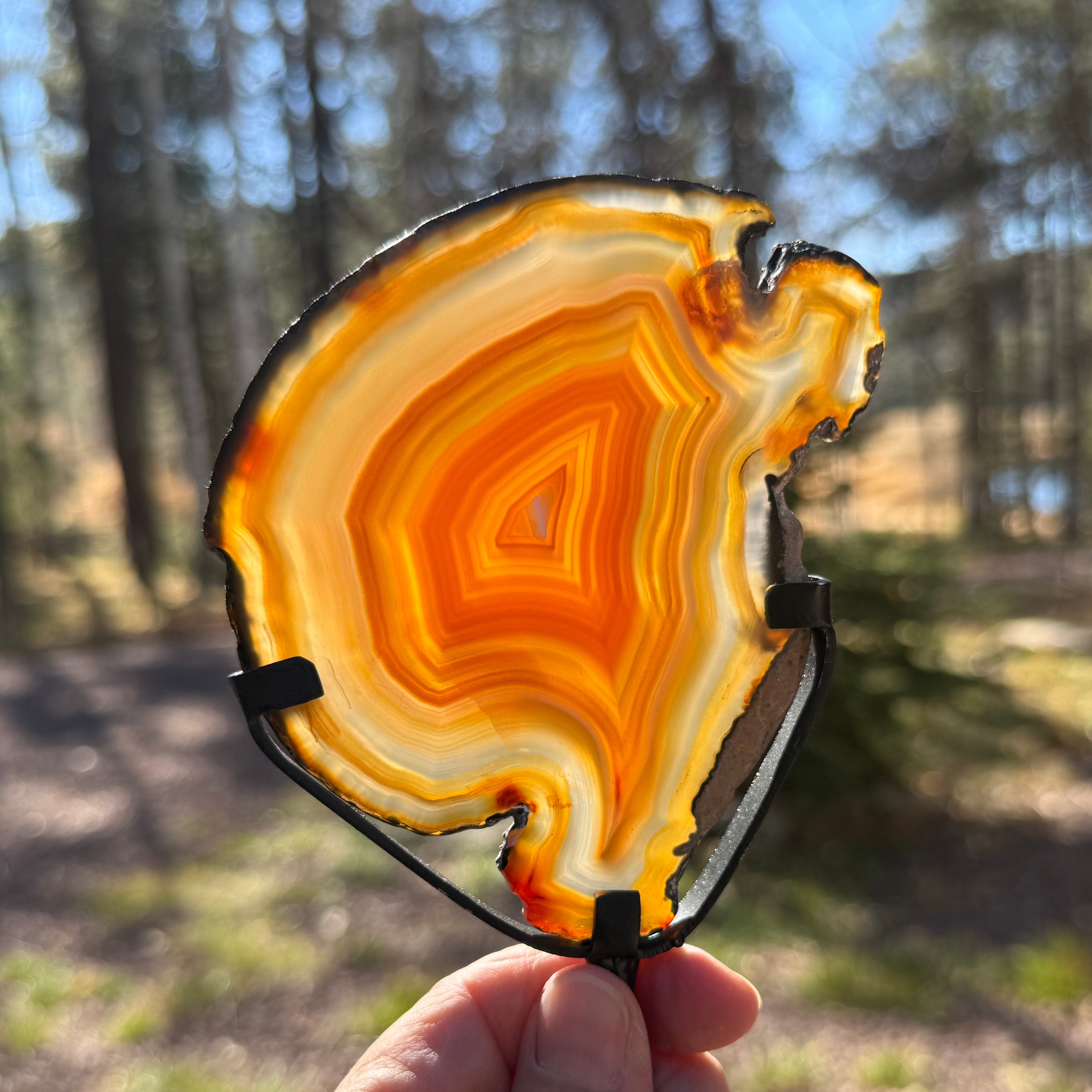 Fiery Concentric Banded Agate Slice on Pedestal Stand