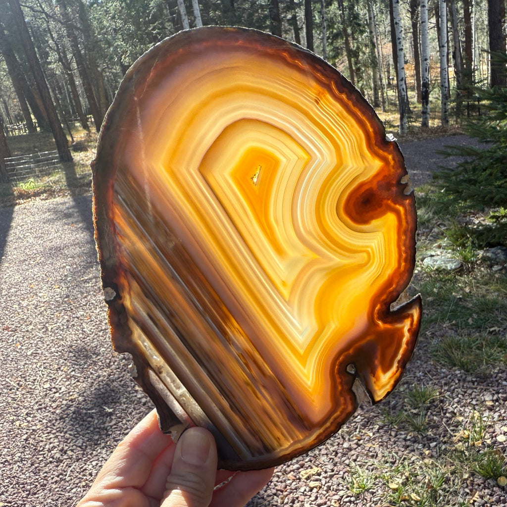 Extraordinary Waterline Agate Slice