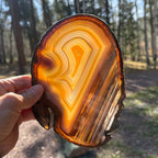 Extraordinary Waterline Agate Slice