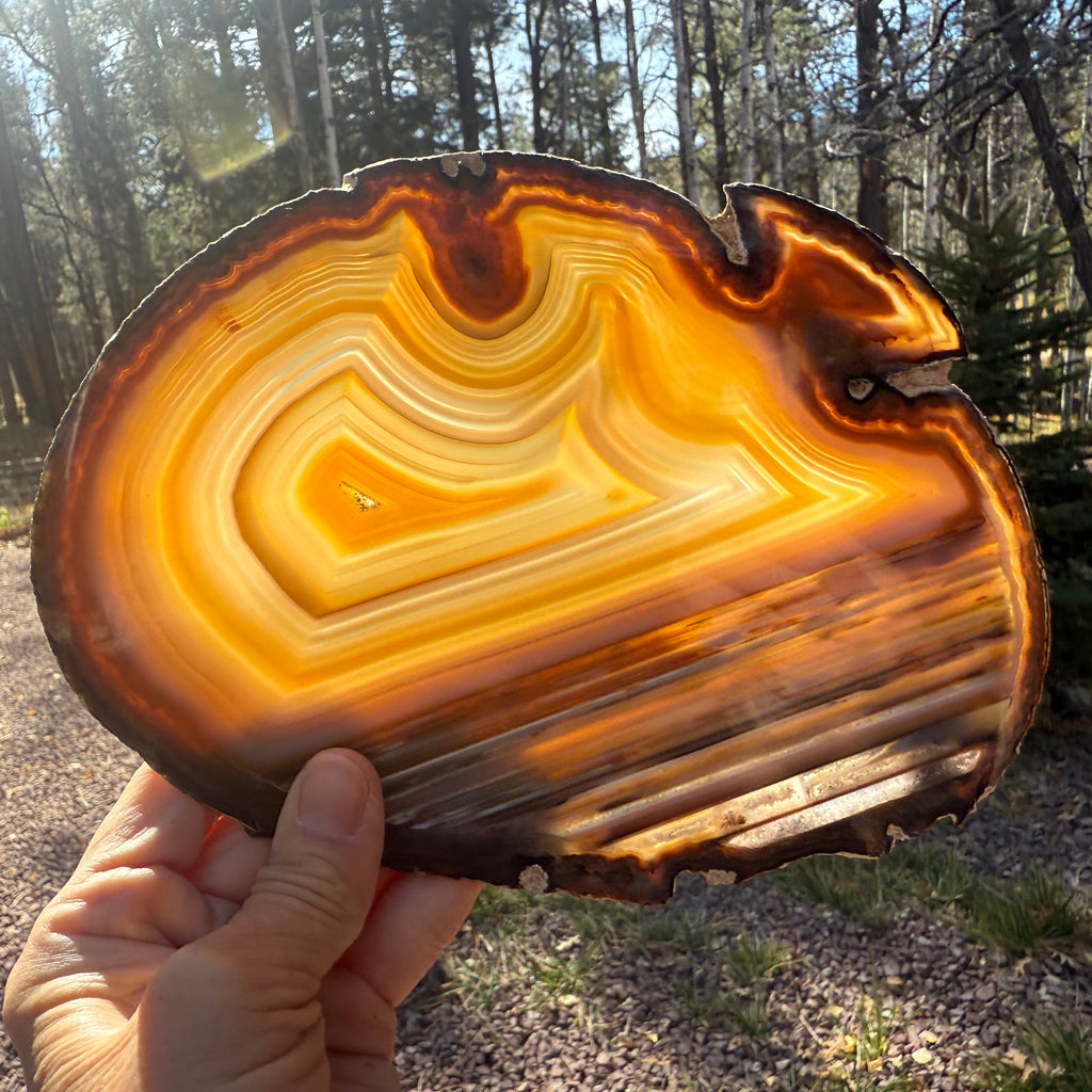 Extraordinary Waterline Agate Slice