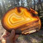 Extraordinary Waterline Agate Slice
