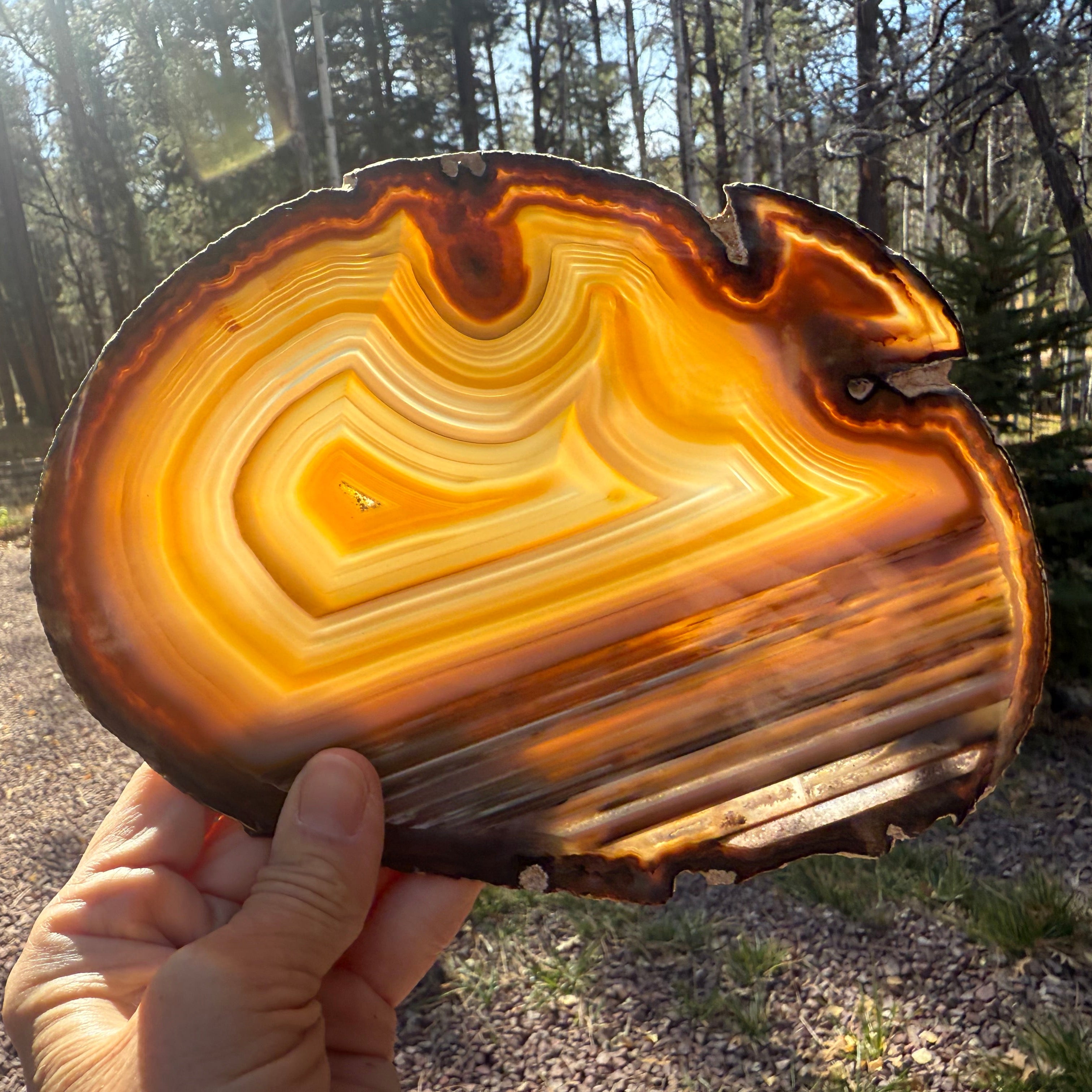 Extraordinary Waterline Agate Slice