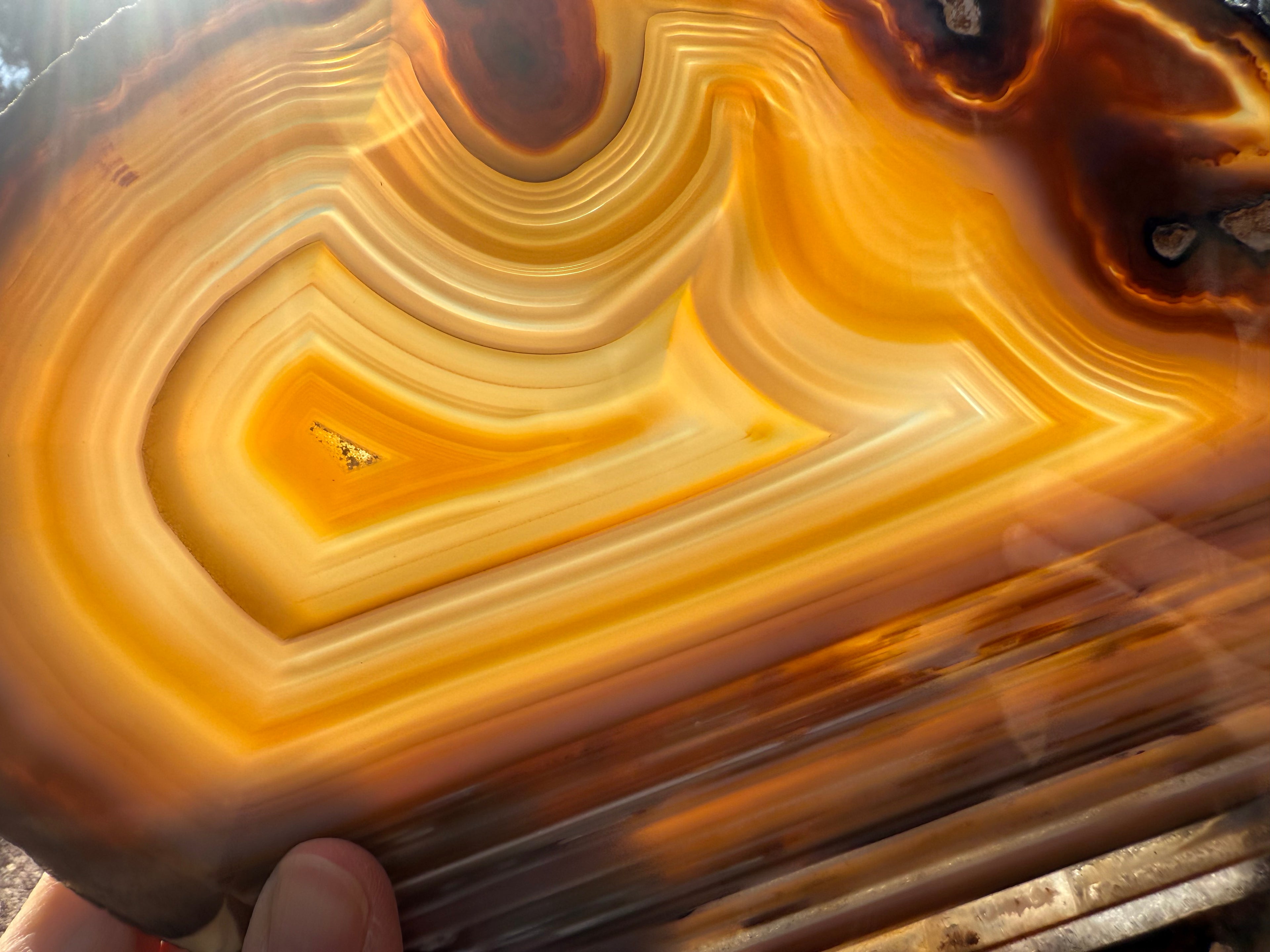 Extraordinary Waterline Agate Slice