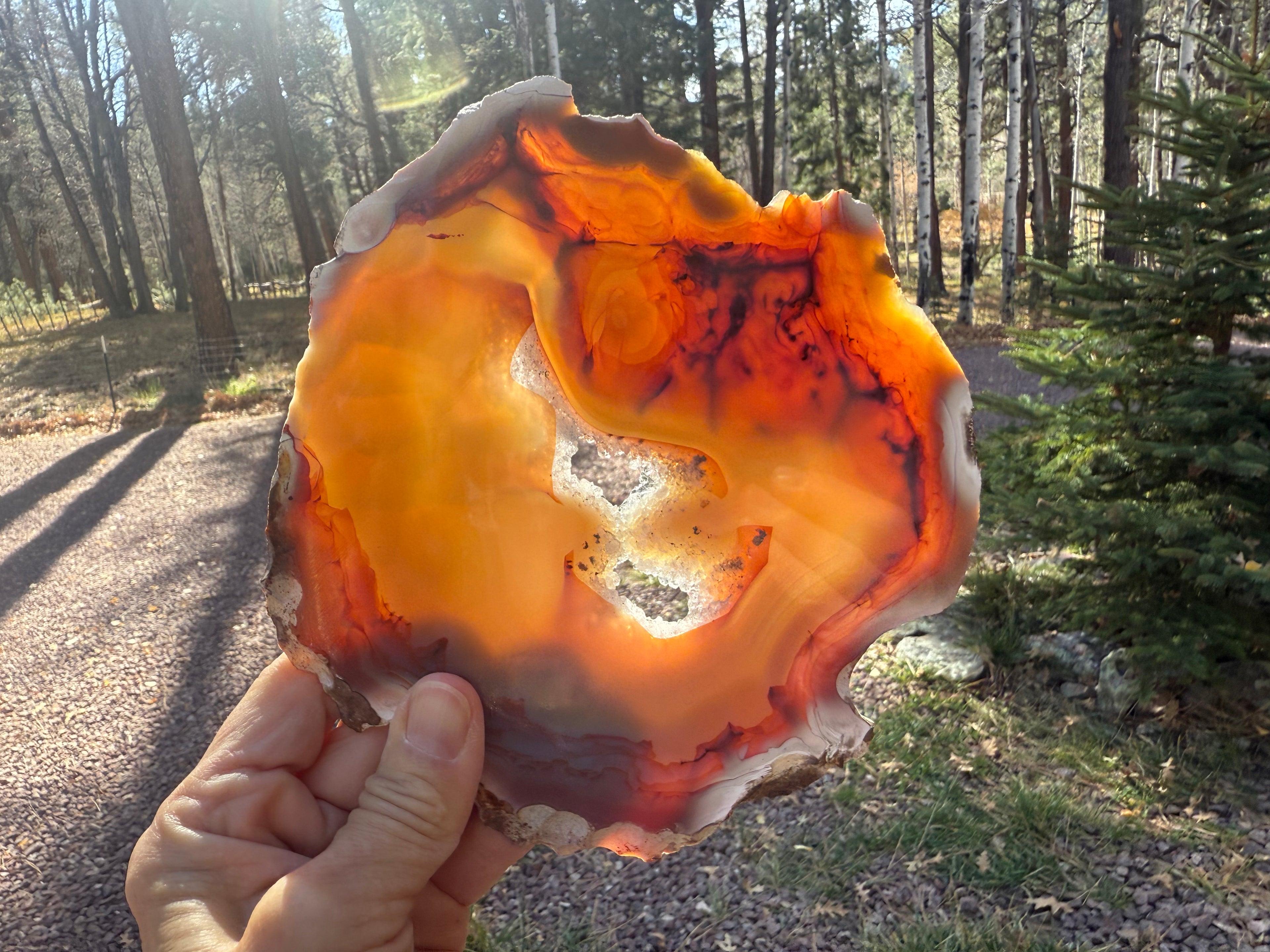Glowing Crystal Lined Brazilian Agate Slice