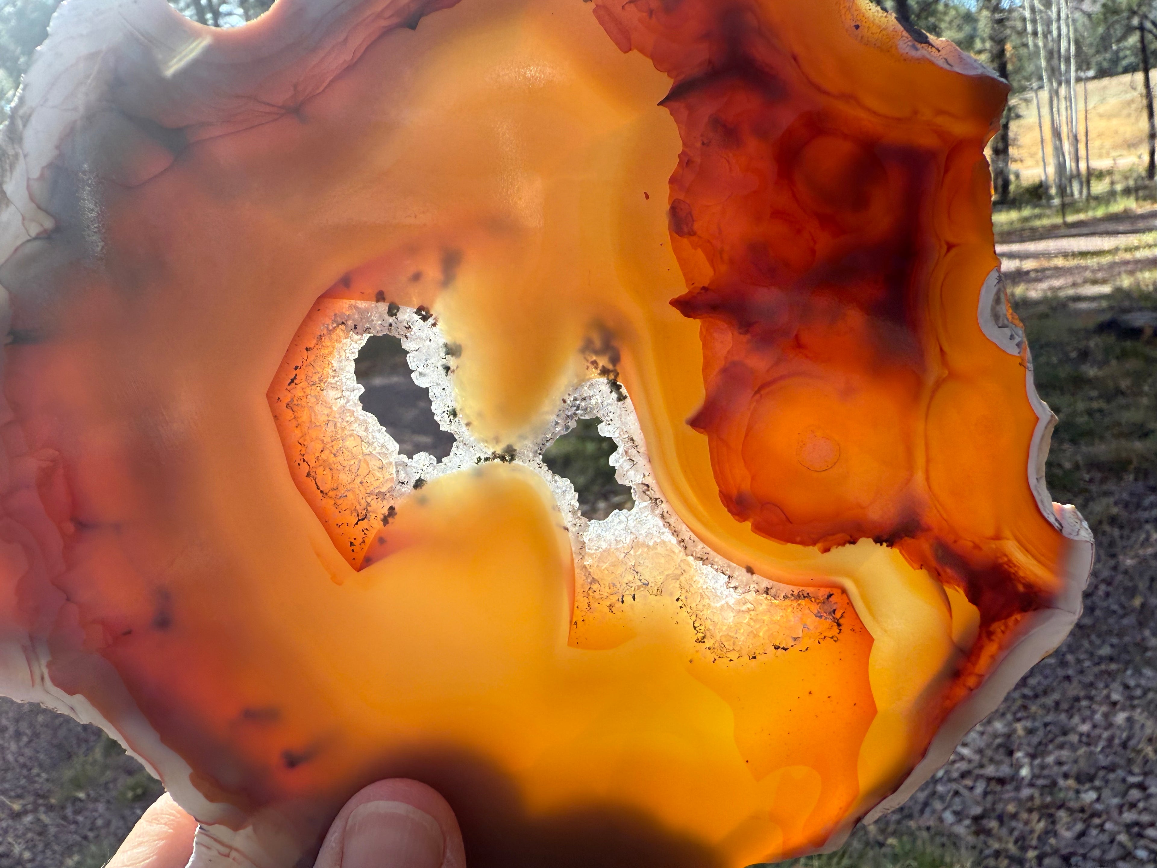 Glowing Crystal Lined Brazilian Agate Slice