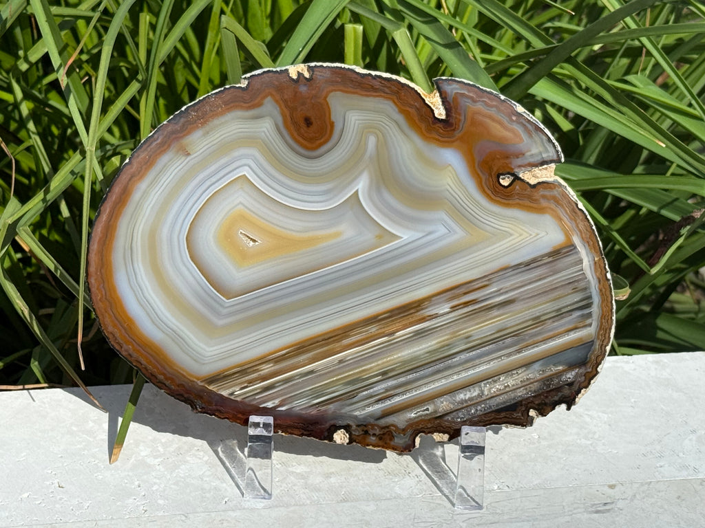 Extraordinary Waterline Agate Slice