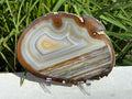 Extraordinary Waterline Agate Slice