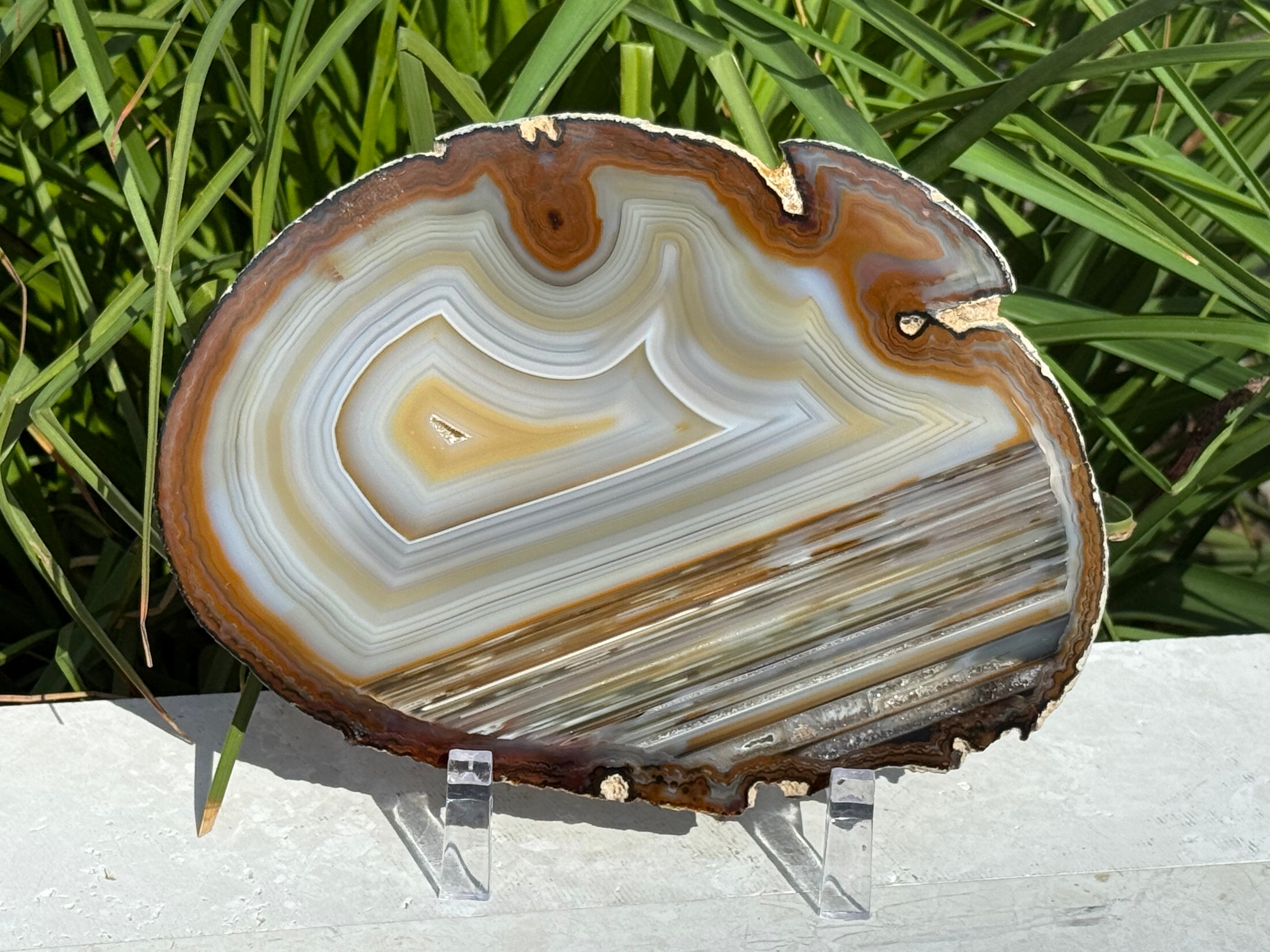 Extraordinary Waterline Agate Slice