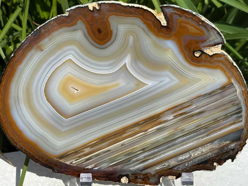 Extraordinary Waterline Agate Slice