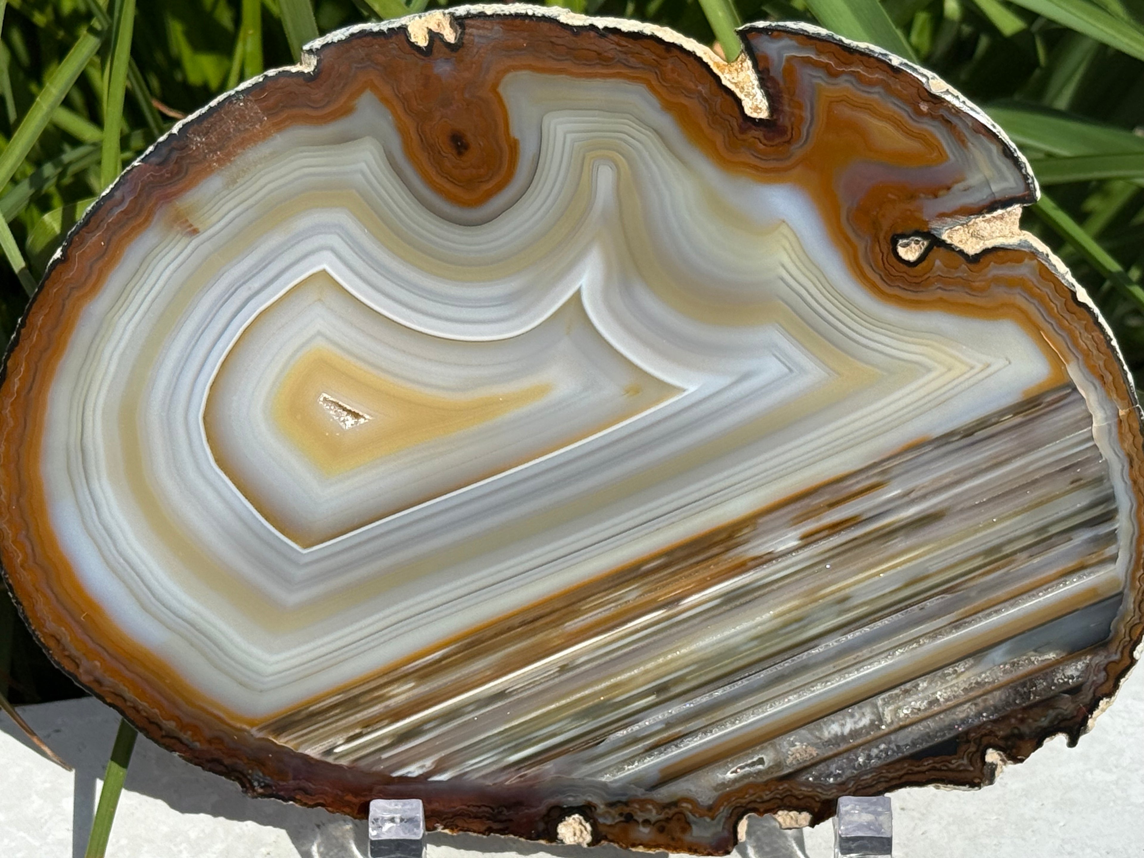 Extraordinary Waterline Agate Slice