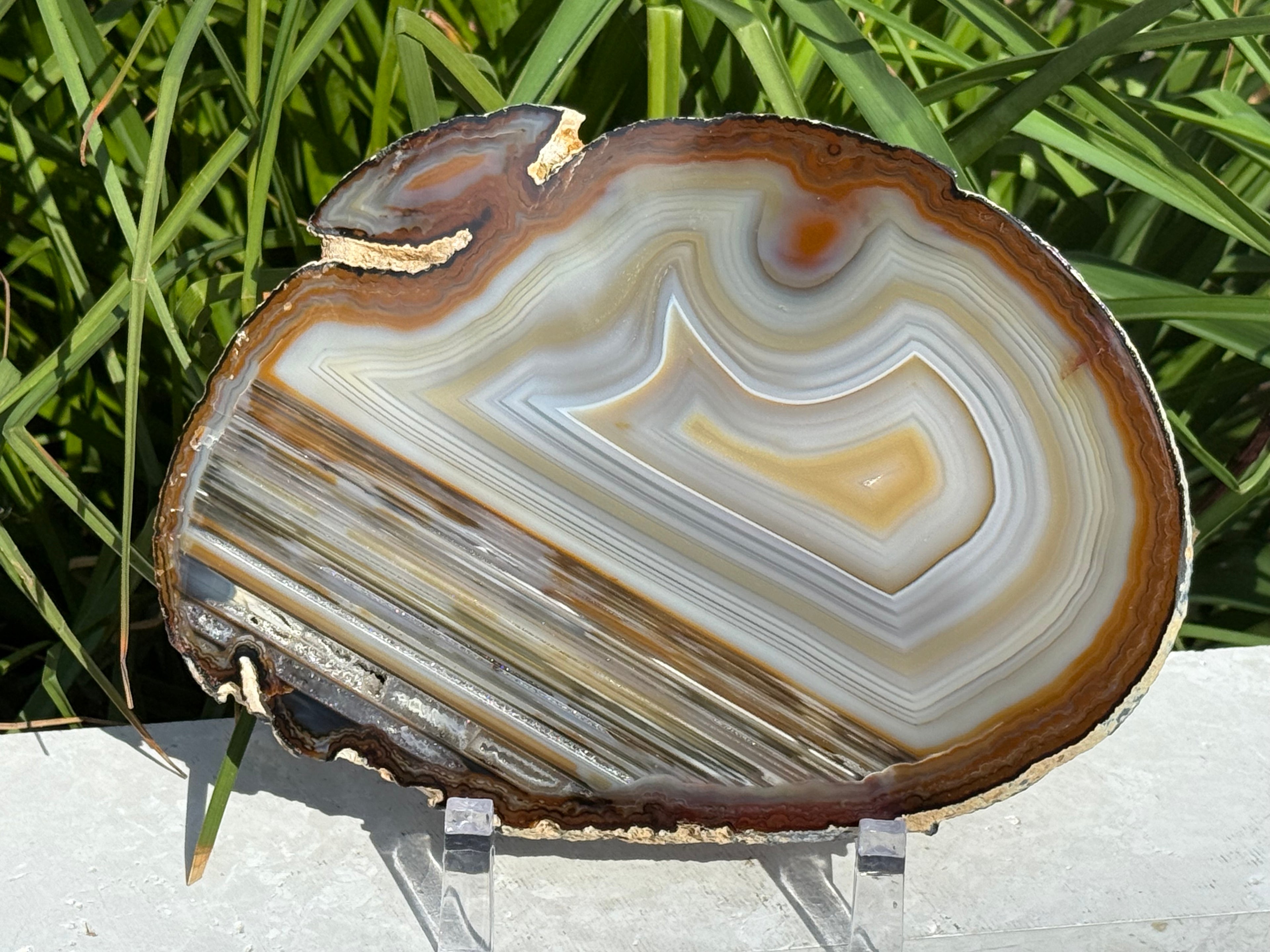 Extraordinary Waterline Agate Slice