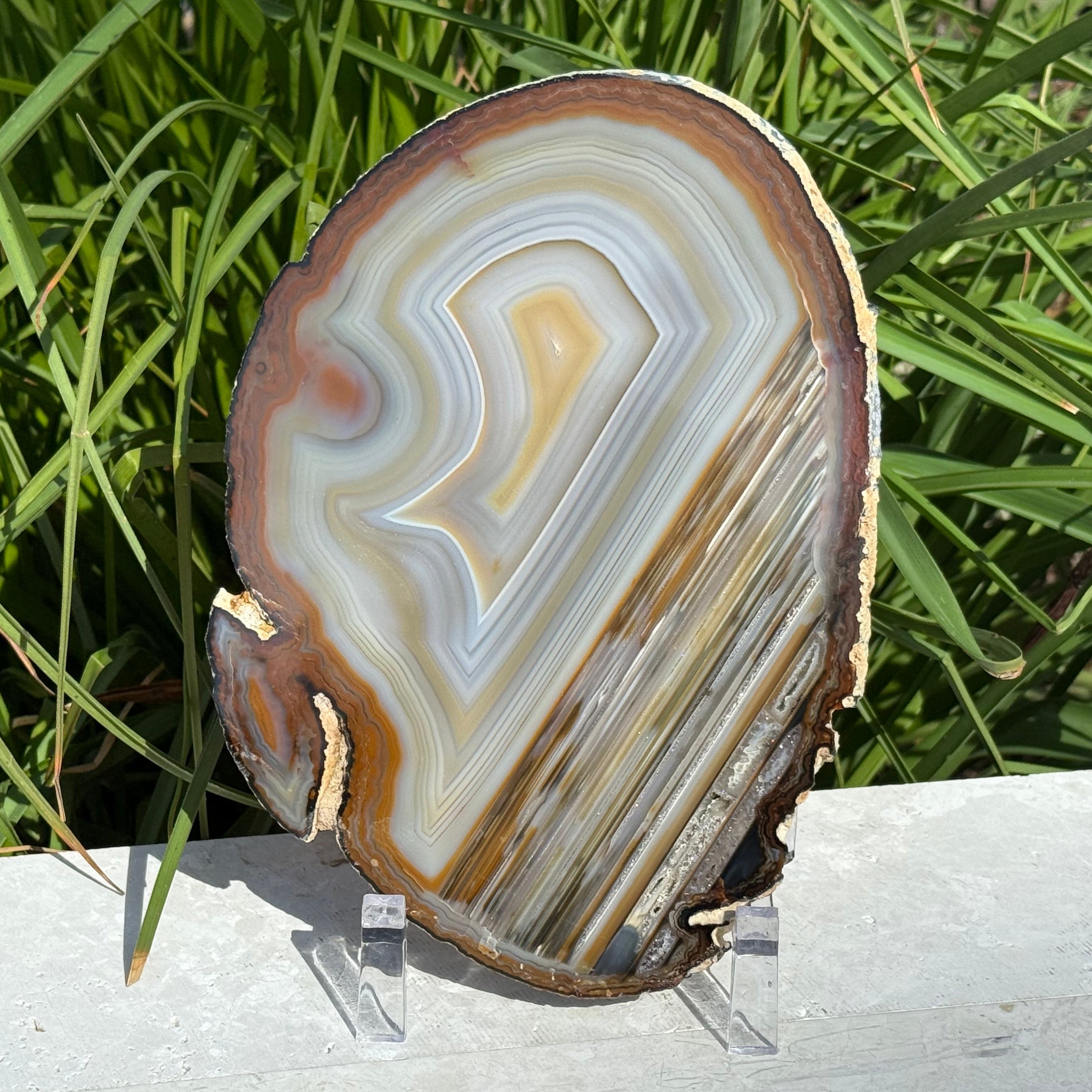 Extraordinary Waterline Agate Slice