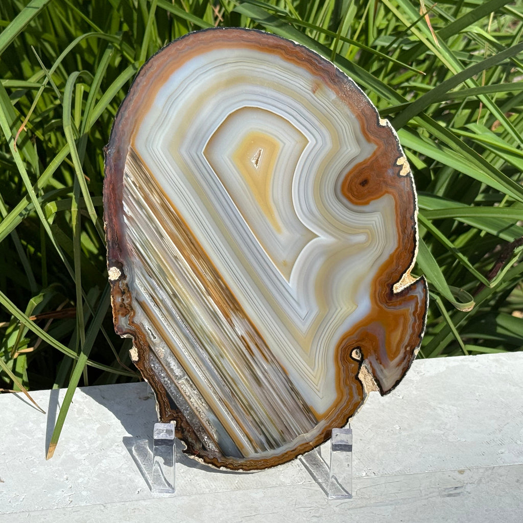 Extraordinary Waterline Agate Slice