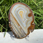 Extraordinary Waterline Agate Slice
