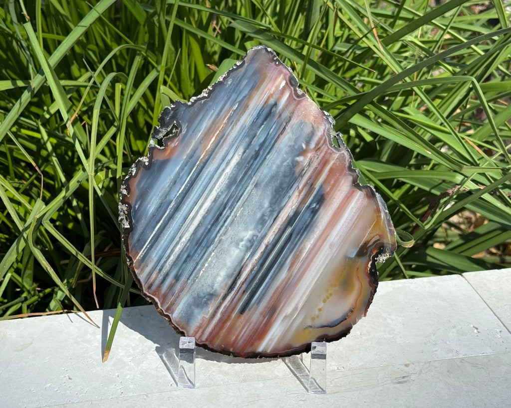 Exquisite Rainbow Waterline Agate Slice