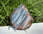 Exquisite Rainbow Waterline Agate Slice