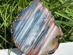 Exquisite Rainbow Waterline Agate Slice