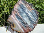 Exquisite Rainbow Waterline Agate Slice