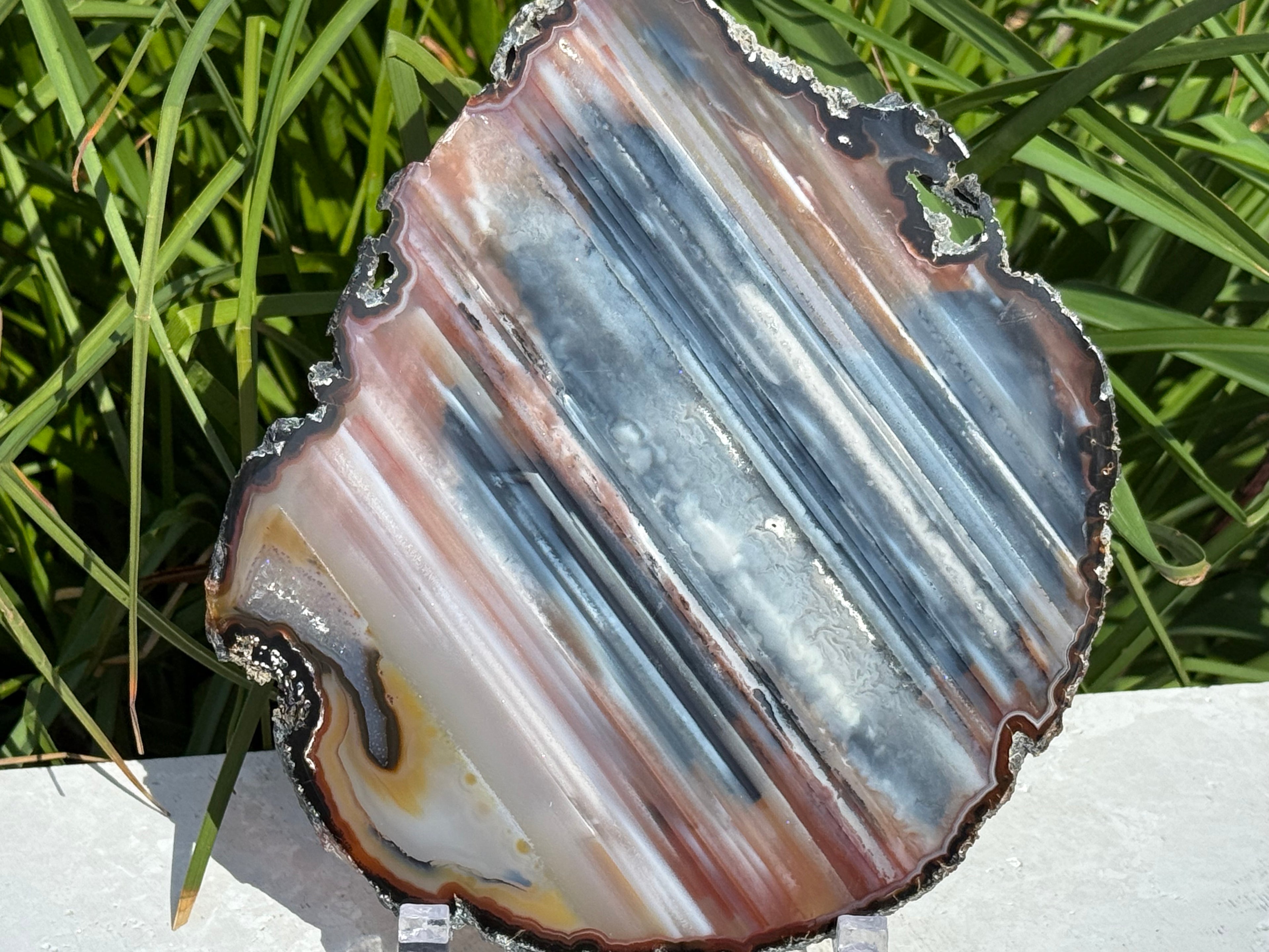 Exquisite Rainbow Waterline Agate Slice