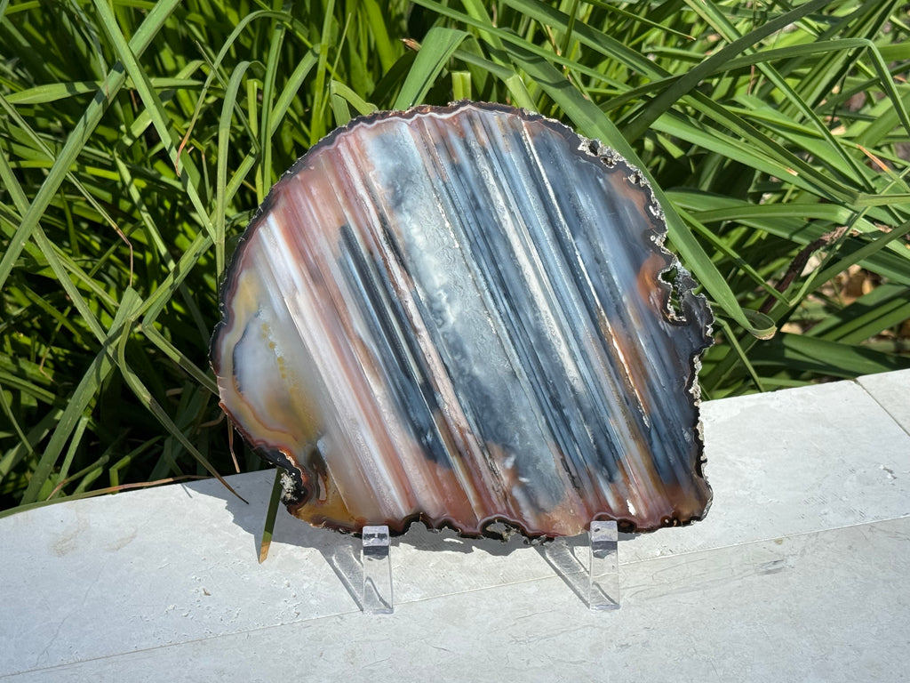 Exquisite Rainbow Waterline Agate Slice
