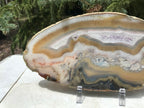 Beautifuly Ornate Brazilian Agate Slice