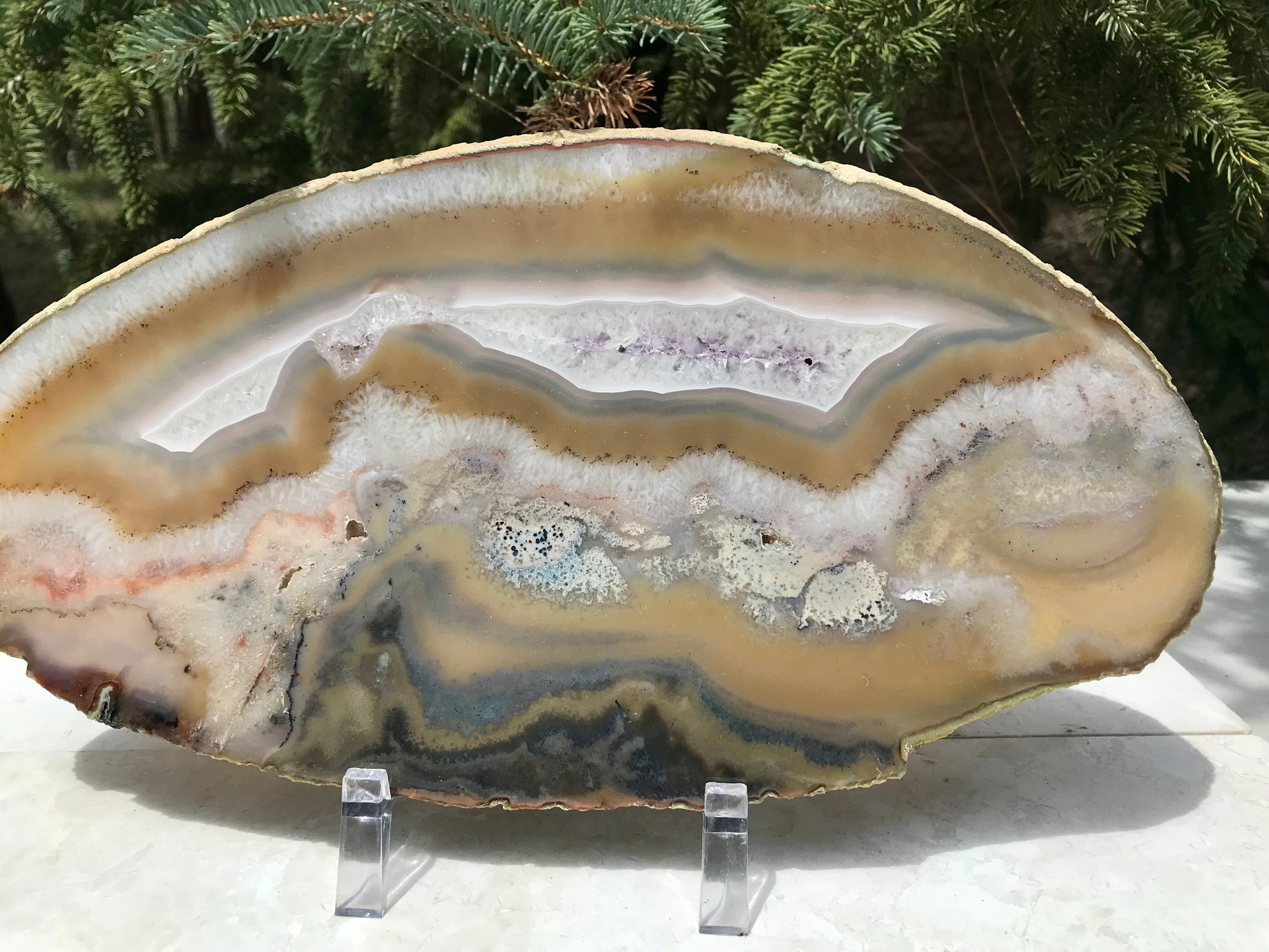 Beautifuly Ornate Brazilian Agate Slice