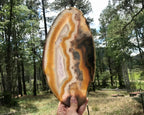 Beautifuly Ornate Brazilian Agate Slice