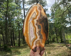 Beautifuly Ornate Brazilian Agate Slice