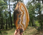 Beautifuly Ornate Brazilian Agate Slice
