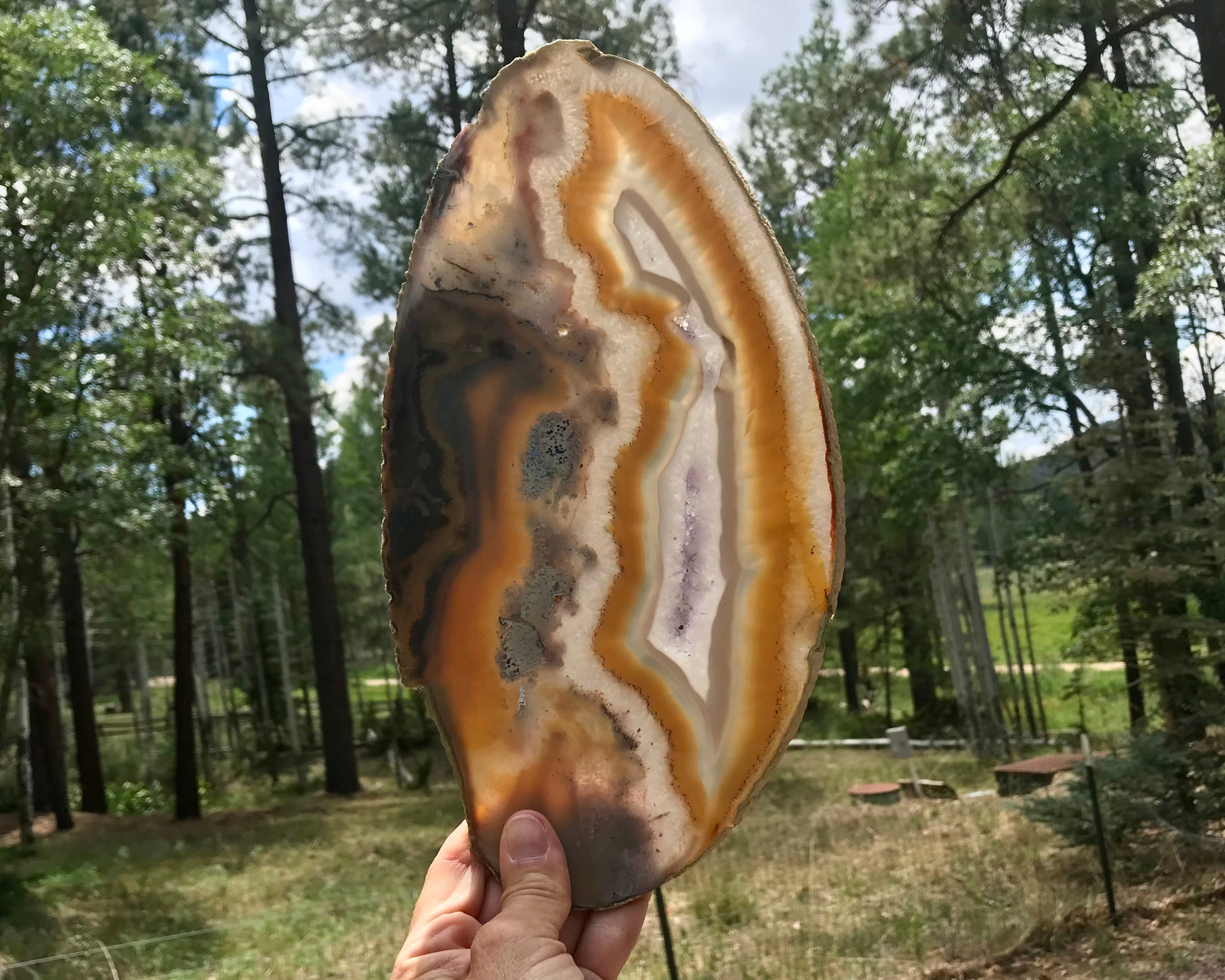 Beautifuly Ornate Brazilian Agate Slice