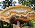 Beautifuly Ornate Brazilian Agate Slice