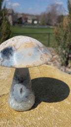 Mushroom Agate