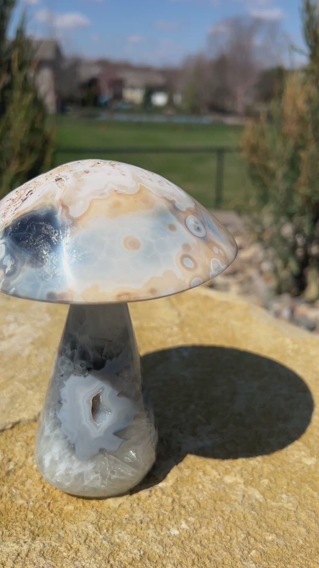 Mushroom Agate
