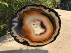 Multicolored Brazilian Agate Slice