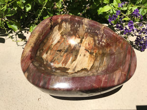 Tree Ringed Petrified Wood Bowl