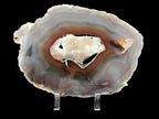 Ultra Translucent Brazilian Agate Slice