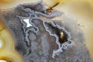 Brazilian Agate Slice